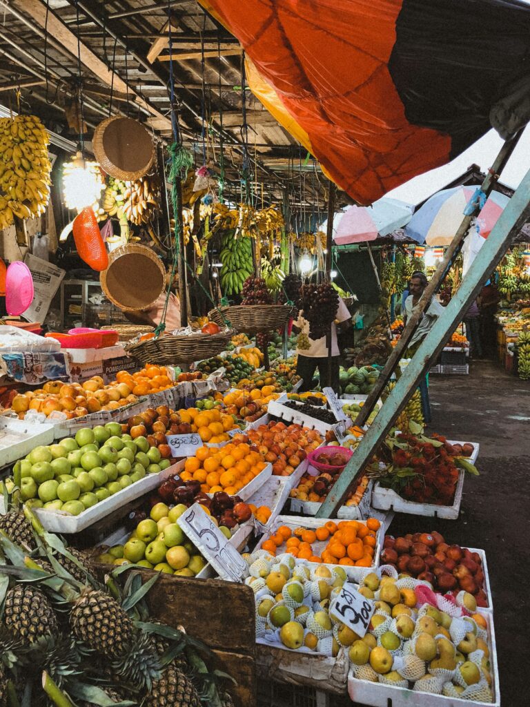 turismo responsabile sri lanka